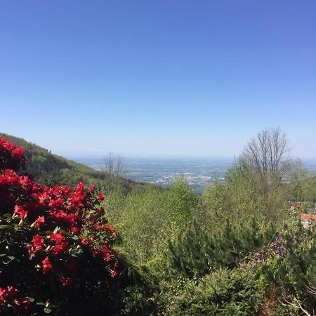 ザスバッハヴァルデンView From The Rockアパートメント エクステリア 写真